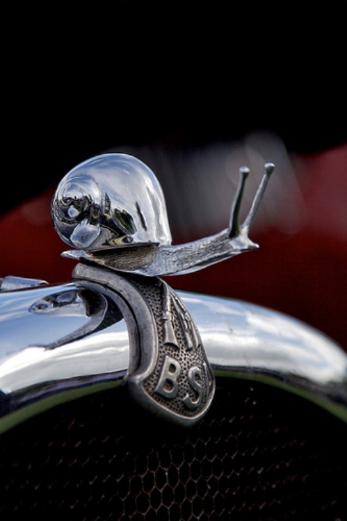 Mercedes Benz Mascot Mercedes Benz Mascot