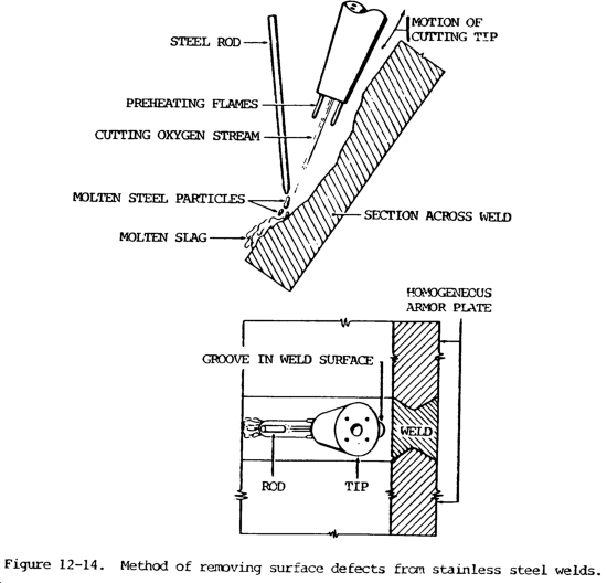 Chapter 12 Special Applications Roadkill Customs